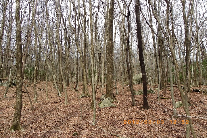 f0016066_1581393.jpg