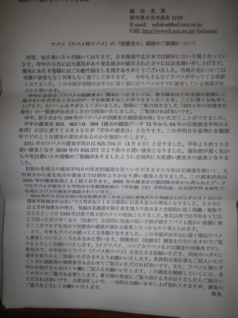 f0137275_534754.jpg