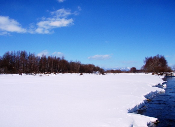 a0169776_21291260.jpg