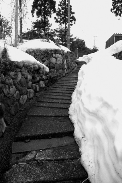 c0196076_10562850.jpg