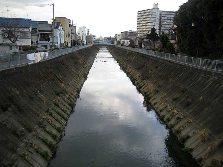 b0057679_1482086.jpg