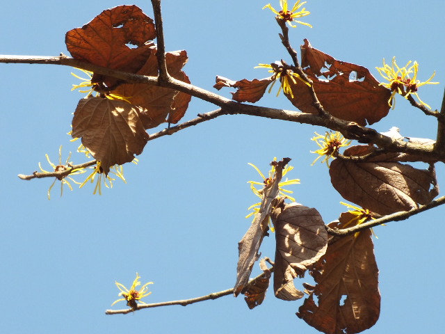 e0145782_18124335.jpg