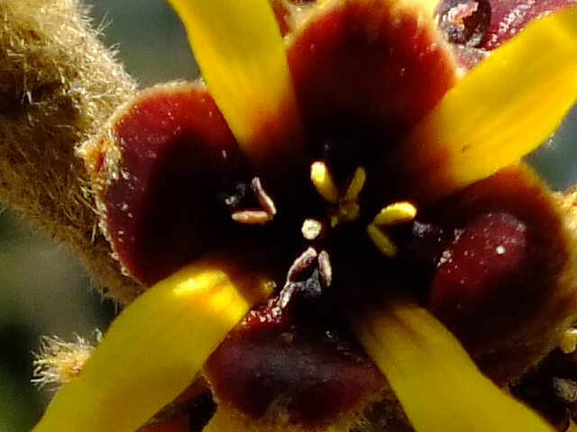e0145782_18142699.jpg