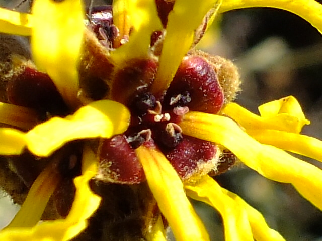 e0145782_1814391.jpg