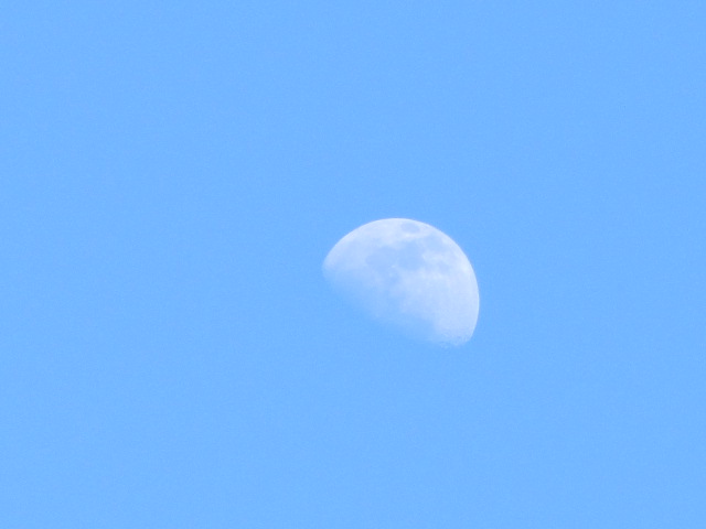 b0202185_4114796.jpg