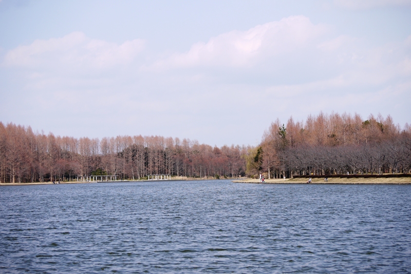 a0127090_14101551.jpg