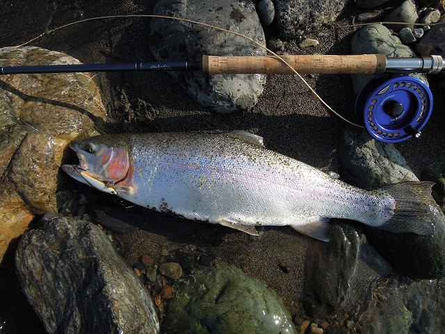 b0233990_18184148.jpg
