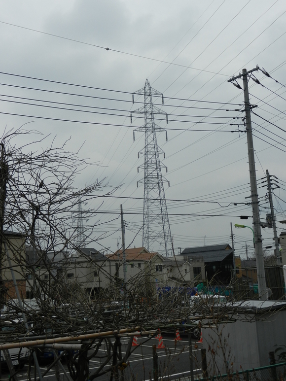 d0224990_1922577.jpg
