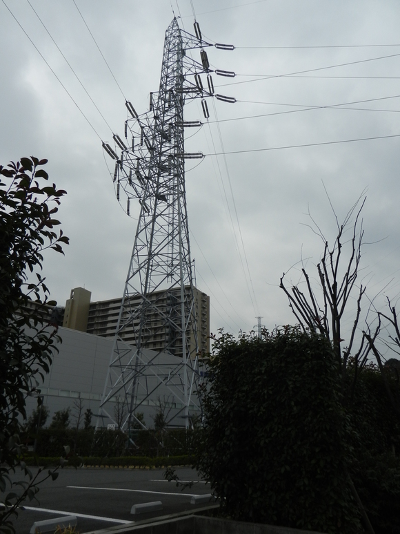 d0224990_19465146.jpg