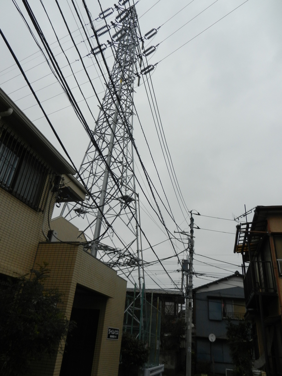 d0224990_20512429.jpg