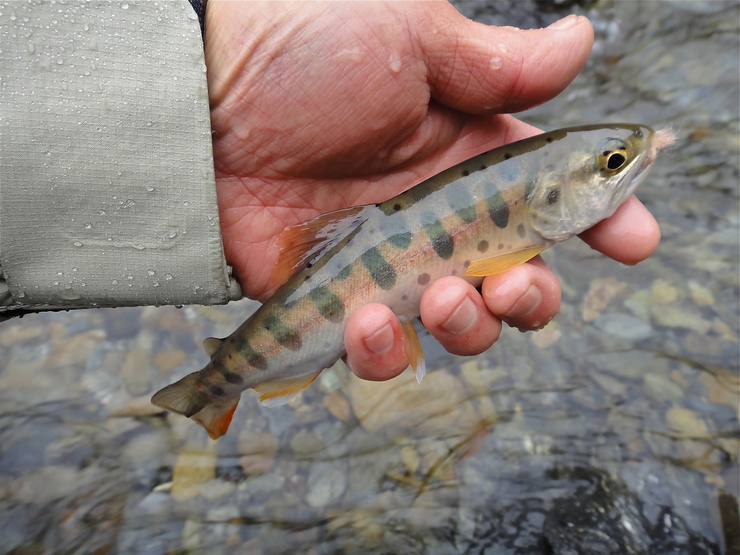 f0141392_1904176.jpg