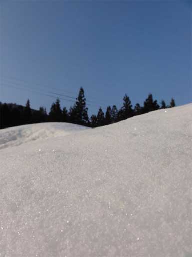 a0061599_7523934.jpg