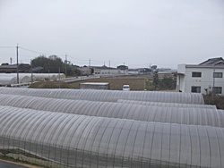 d0240201_12193550.jpg