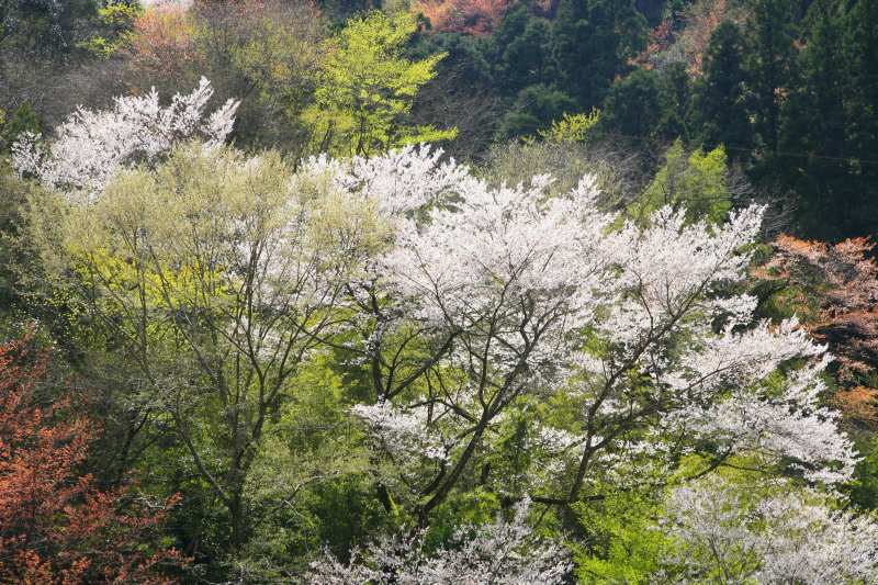 a0188405_17464076.jpg