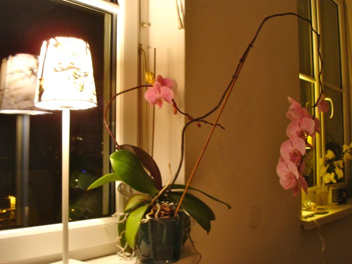 c0167813_6581541.jpg