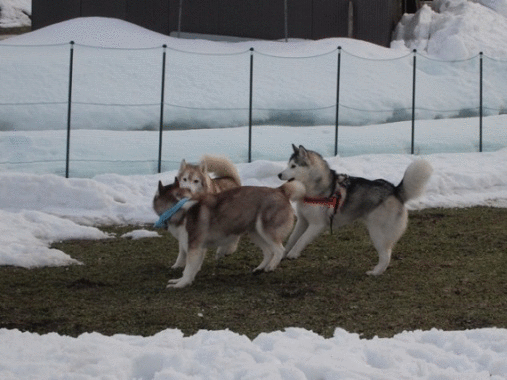 b0207615_22535912.gif