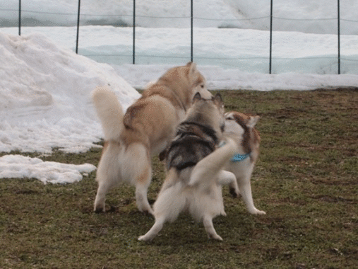 b0207615_2254538.gif