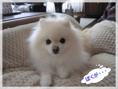 b0167519_95867.gif
