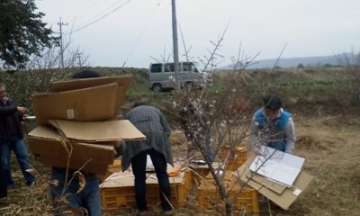 f0031420_97981.jpg