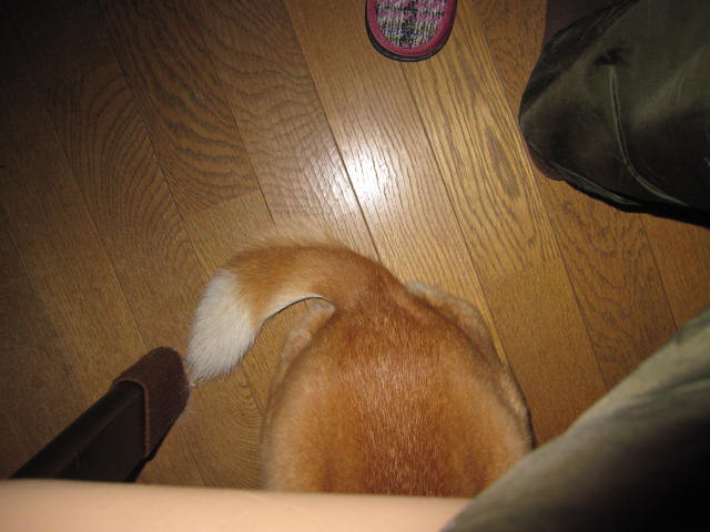 e0191826_02714.jpg