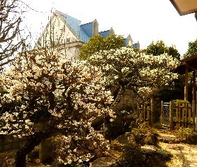 a0098027_15364040.jpg