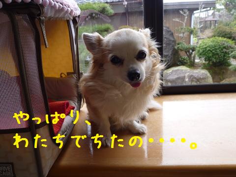 b0138430_16264479.jpg