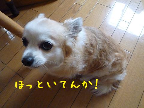 b0138430_16283080.jpg