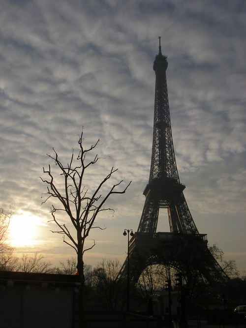 e0205730_11281855.jpg