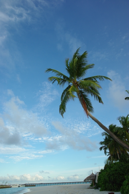 d0079432_20423414.jpg