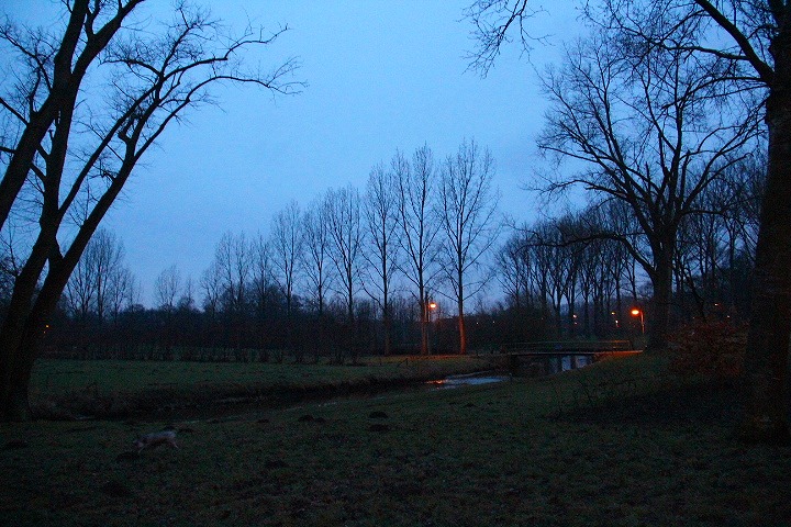 c0153740_5485515.jpg