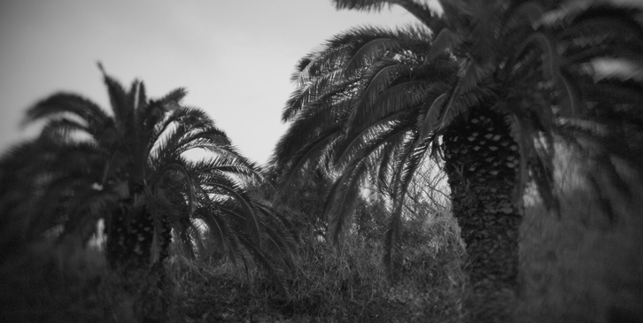 e0144041_0352556.jpg