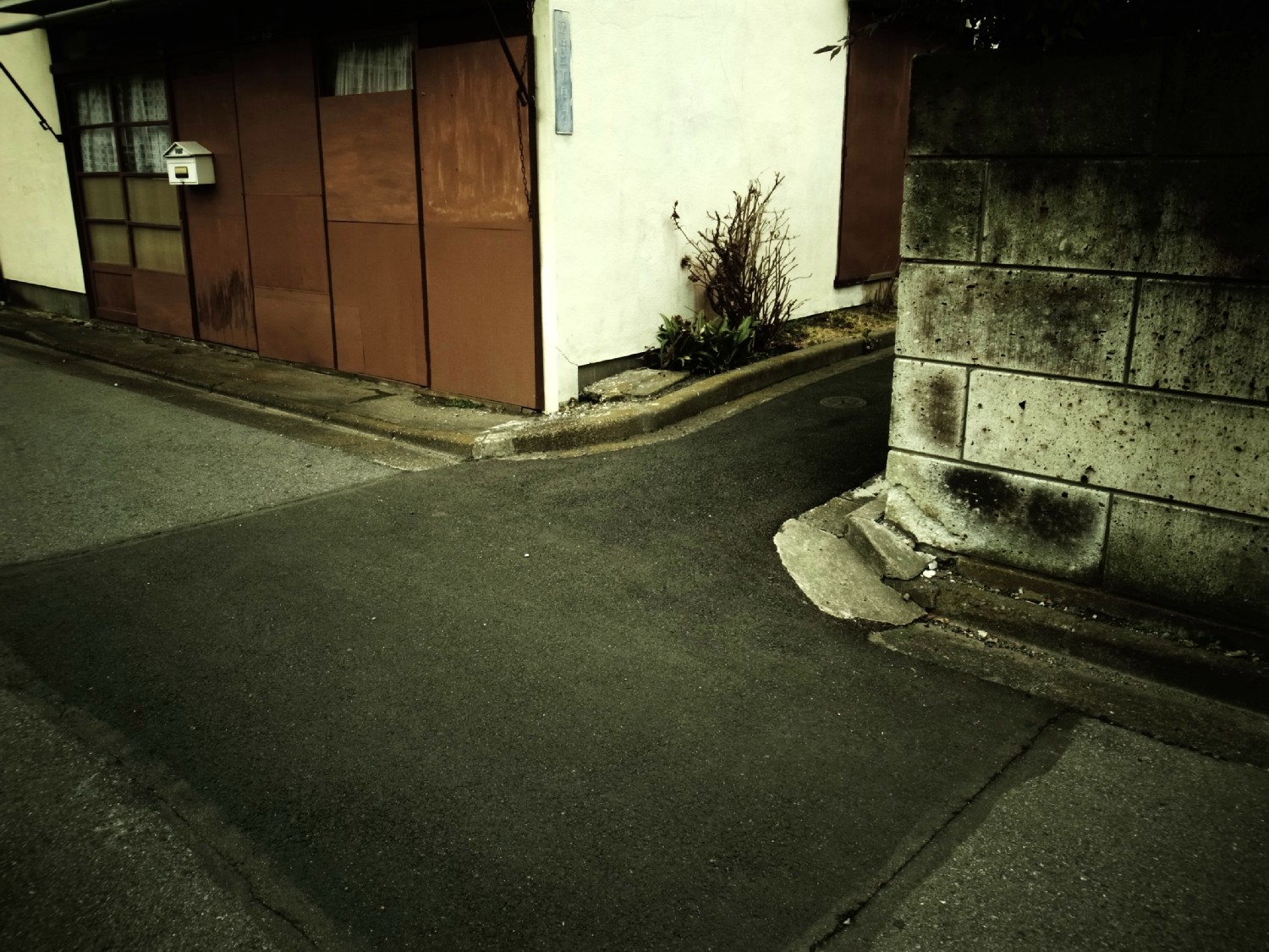 e0009147_10304498.jpg