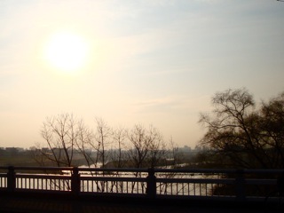 a0185748_1634281.jpg