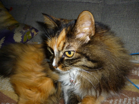 b0238249_9384227.jpg