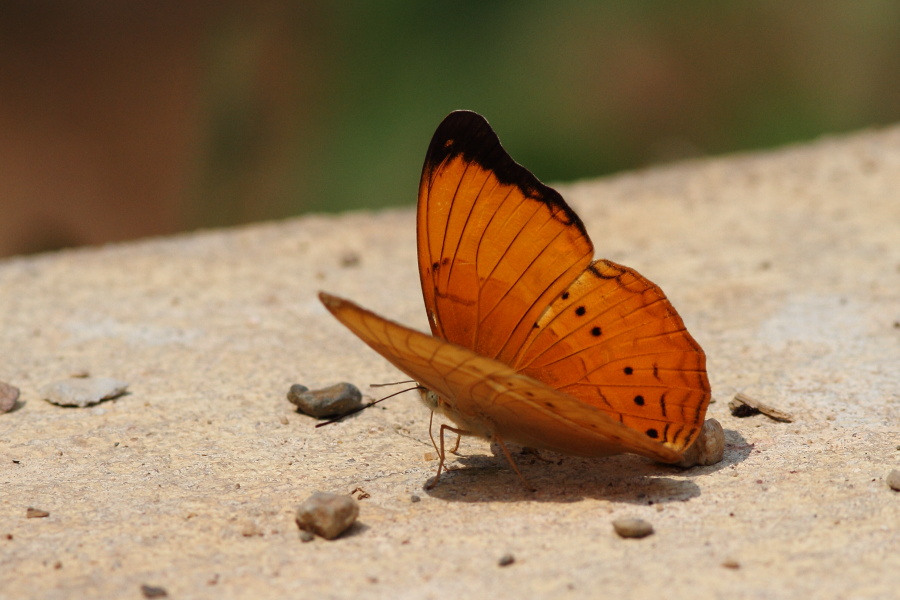 a0094850_9301946.jpg