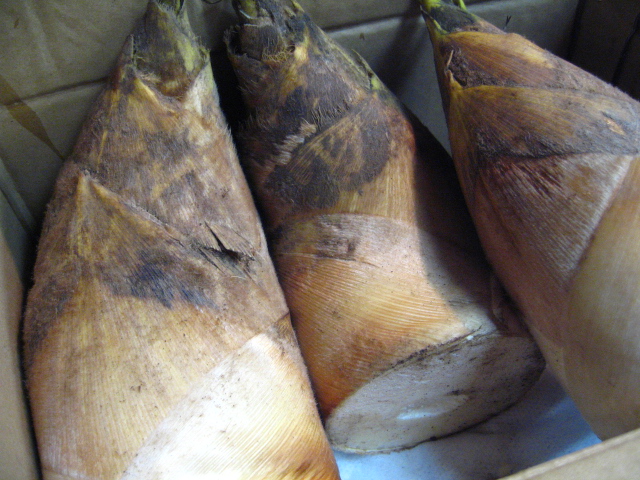a0160153_237770.jpg