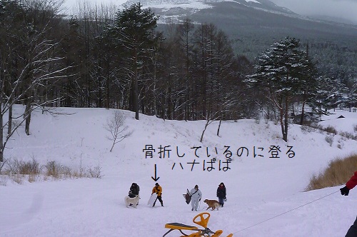 a0166954_0533654.jpg