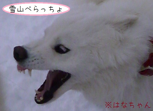 a0166954_0591241.jpg