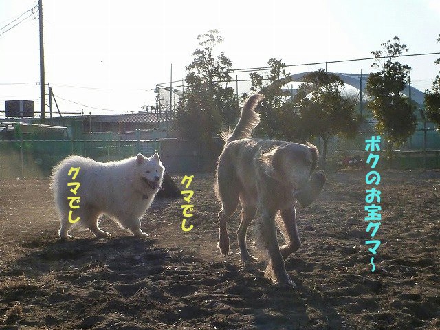 e0176159_13573987.jpg