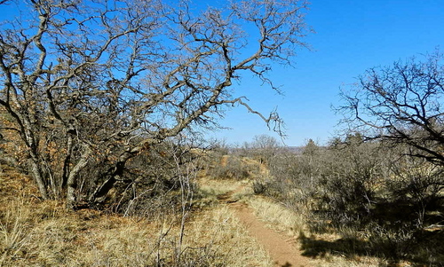 b0207361_1216309.jpg