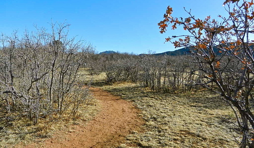b0207361_12171466.jpg