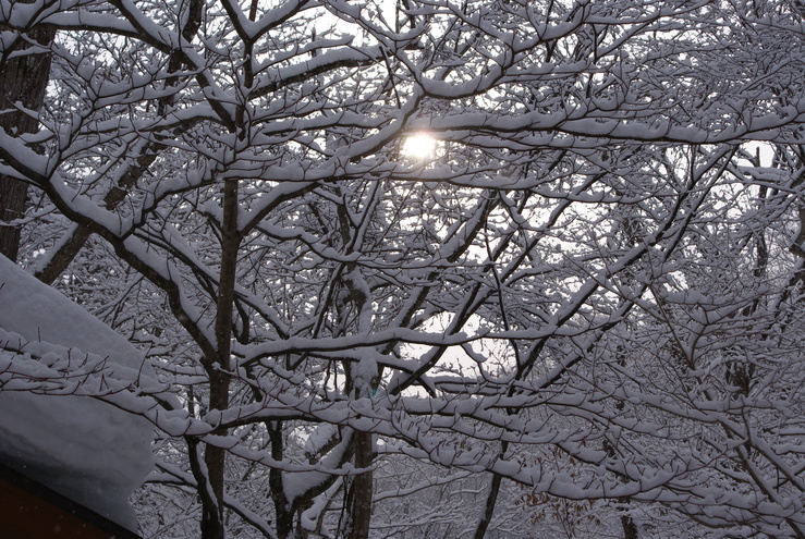 a0091666_1729637.jpg