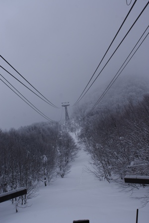 a0091666_18535050.jpg