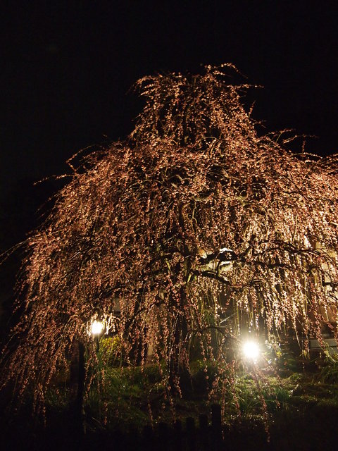 c0144868_18344660.jpg