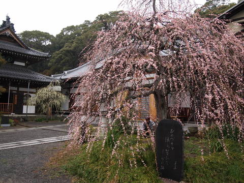 c0144868_1844989.jpg