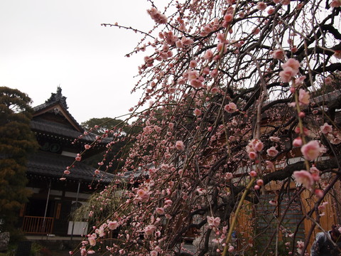 c0144868_1853537.jpg