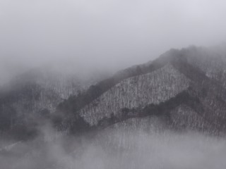 d0134473_16273279.jpg