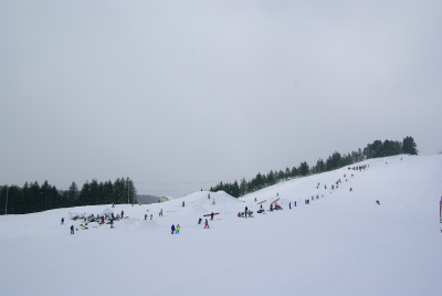 a0188775_12322190.jpg