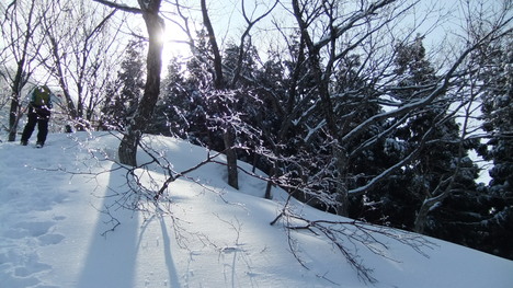 c0022275_1944027.jpg