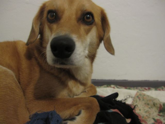 c0188178_7183459.jpg